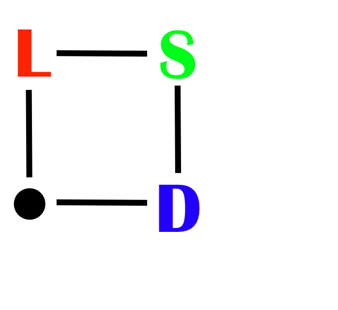 LSD logo